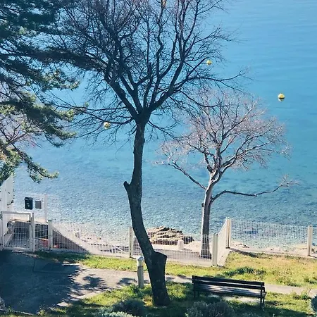 Svetlana Apartman *
