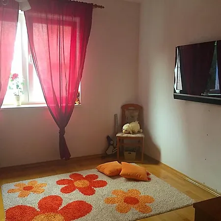 Svetlana Apartment