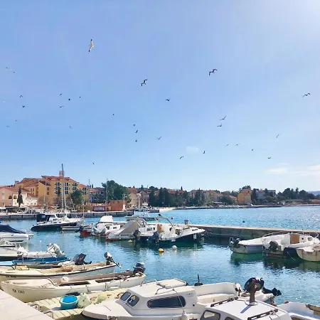 Svetlana Apartamento Selce