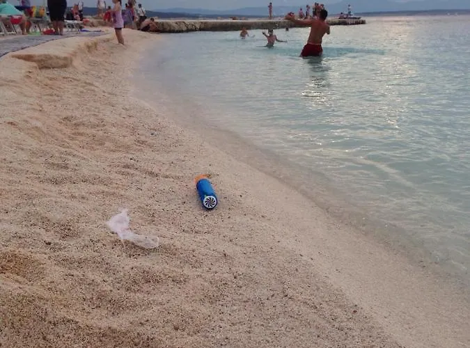 Διαμέρισμα Svetlana *