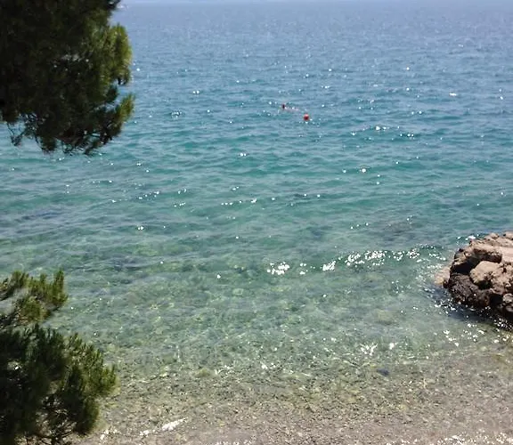 Svetlana *